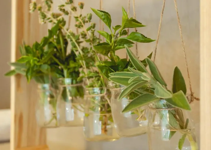 Domus Fresco Pensjonat Chania (Crete)