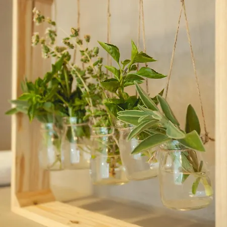 Domus Fresco Pensionat Chania (Crete)